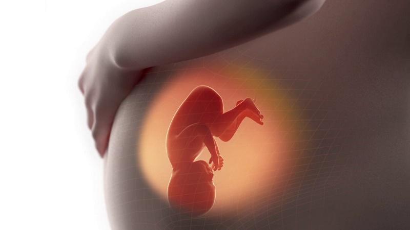 Servizio d’Ecocardiografia Fetale